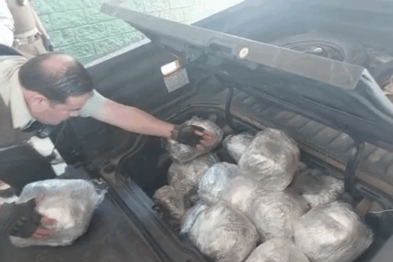 Incautan 76 kilos de droga que hombre pretendía trasladar a Santiago