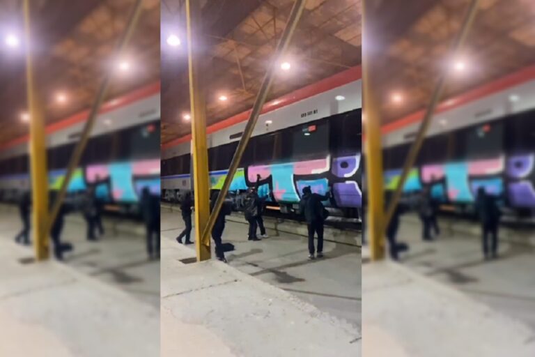 EFE presenta denuncia tras rayado a uno de los nuevos trenes del servicio Santiago-Chillán