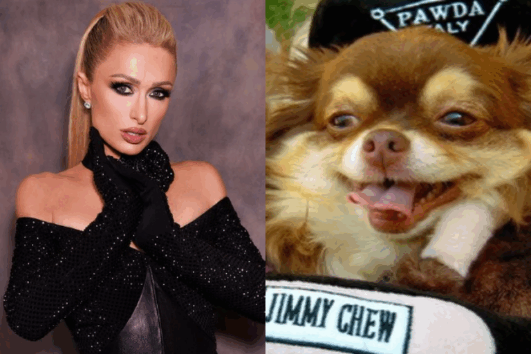 Chihuahua de Paris Hilton murió a los 23 años: 