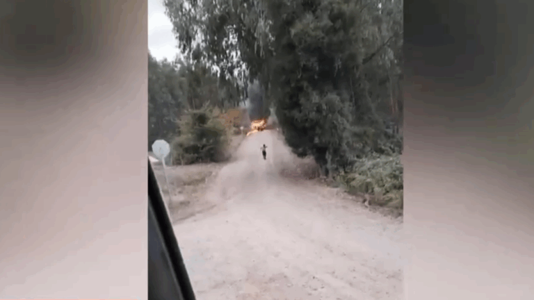 Violencia en la Macrozona Sur: Dos agricultores atacados y camión incendiado en Traiguén