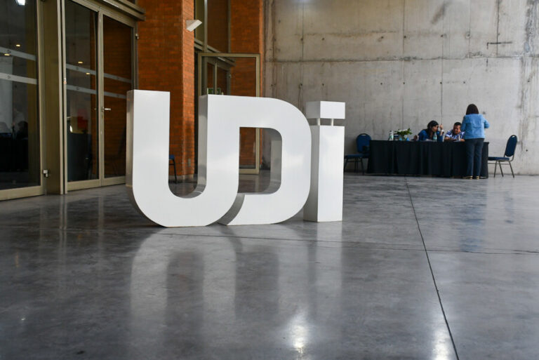 UDI ingresa proyecto de resolución para “respetar fielmente” las 12 bases constitucionales