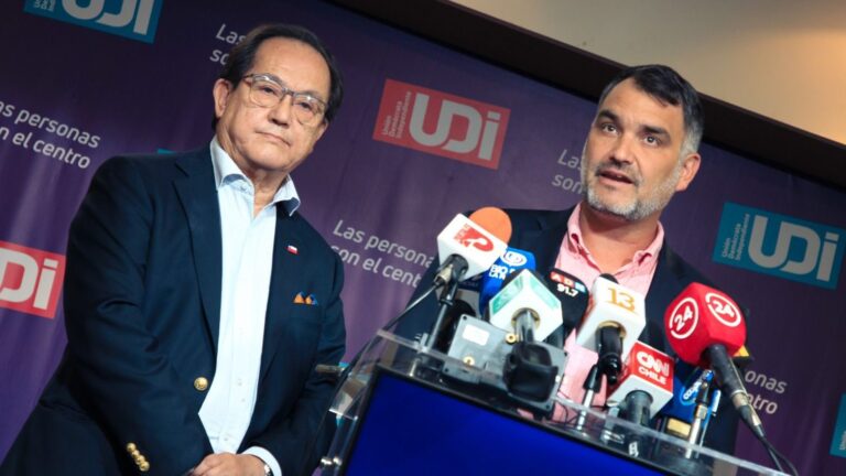 UDI calificó la propuesta de ley presentada por el Gobierno como una 