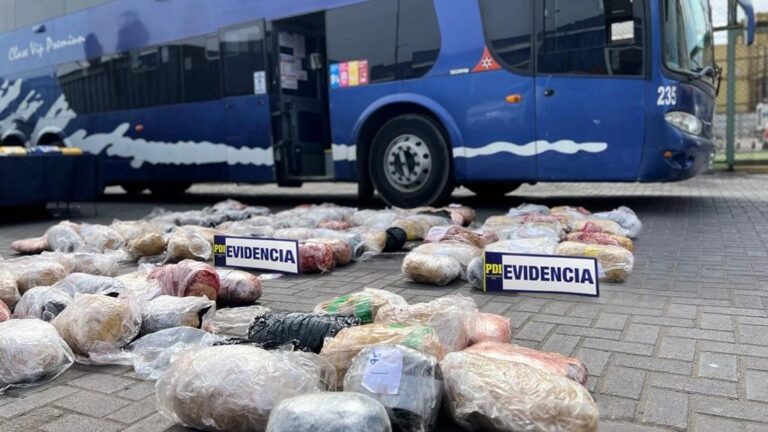 11 miembros del 