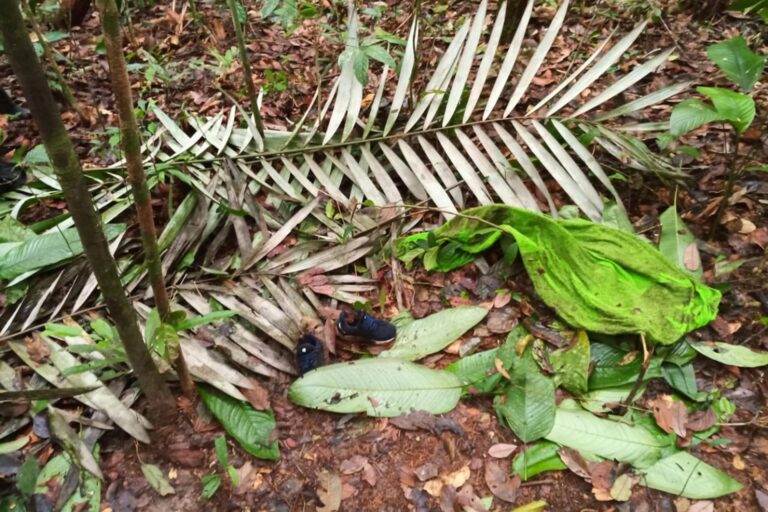 Encuentran con vida a los cuatro niños desaparecidos tras accidente de avioneta en Colombia