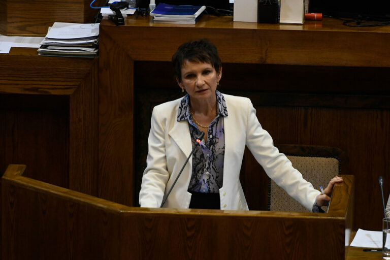 Seguridad y migración: Las claves de la interpelación a la ministra Tohá