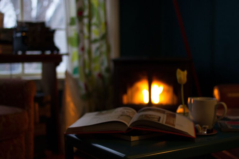 ¿Estufa a gas, eléctrica o parafina? Qué tomar en cuenta para elegir calefacción este invierno