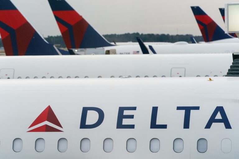 Estados Unidos: Un enjambre de abejas retrasó durante horas un vuelo de Delta