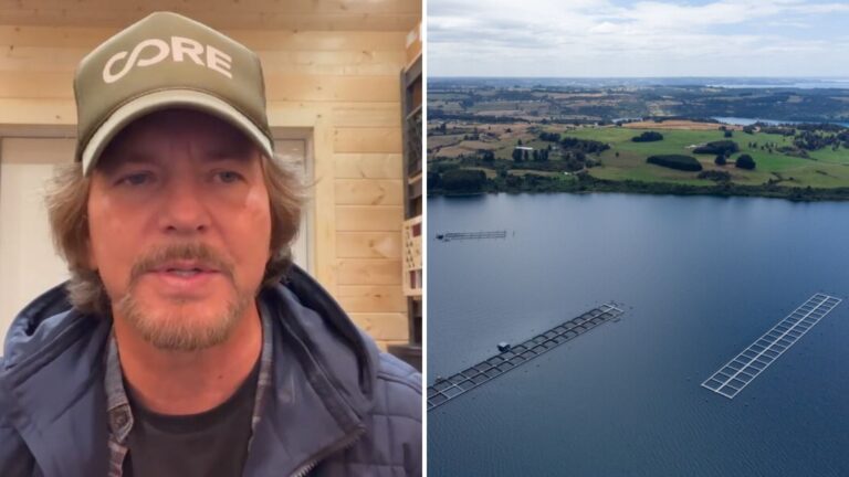 “Están afectando a los frágiles ecosistemas marinos”: Pearl Jam se manifiesta contra la industria salmonera en Chile