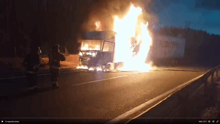 Región de La Araucanía: Grupo de sujetos armados queman camión a la altura del puente Malleco