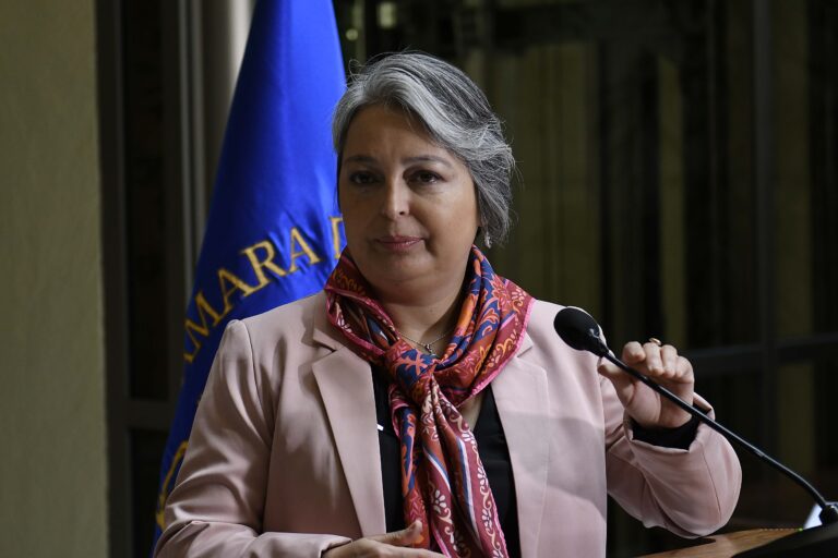 Ministra Jara llamó a empleadores a implementar teletrabajo ante alza de virus respiratorios