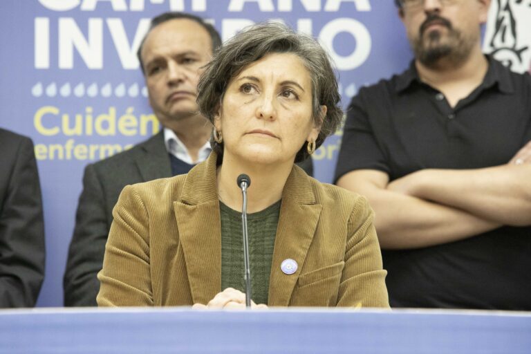 Diputados citaron a la ministra Aguilera a un sesión especial ante aumento de virus respiratorios