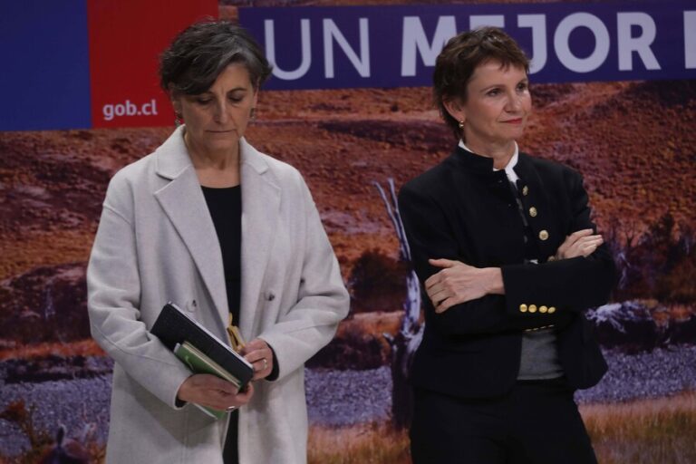 Ministra Tohá tilda de 