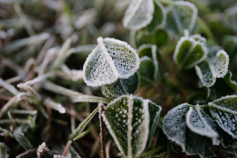 Dirección Meteorológica de Chile emitió alerta por 
