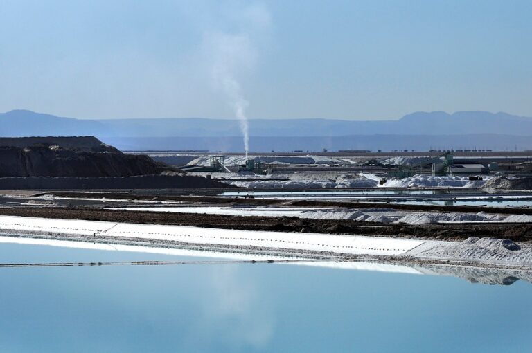 Gobierno ha tratado con 46 potenciales inversores de 12 países para explotar el litio