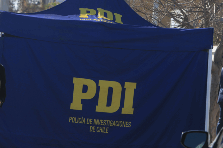 Limache: Hallan restos humanos al interior de vivienda quemada por incendios forestales