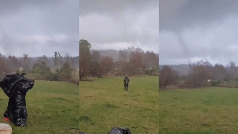 Reportan tornado en Futrono: Causó cortes de luz y daños en caminos