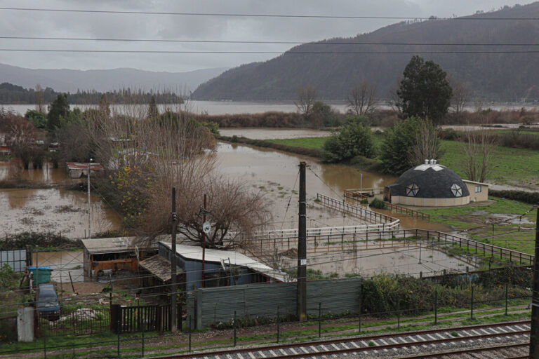Gobierno decreta emergencia agrícola entre Valparaíso y Biobío por las consecuencias del sistema frontal