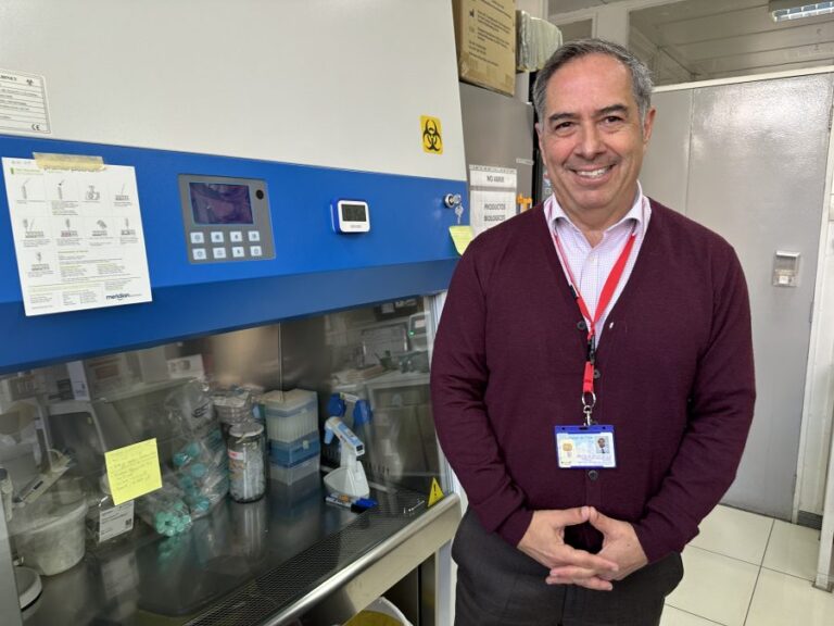 Ciencia hecha en Chile: Estudio explora la efectividad de la terapia antibiótica contra bacteria causante de cáncer gástrico