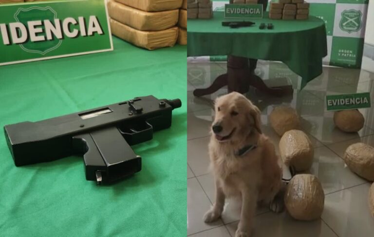 Incautan 50 kilos de droga y una submetralladora artesanal en procedimiento vehicular en Antofagasta