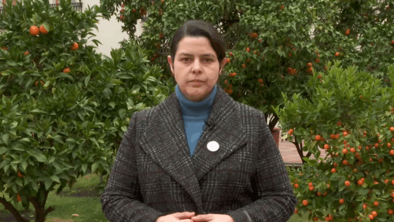 Subsecretaria Perales: 