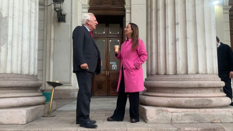 Exministra Cecilia Pérez llega al Consejo Constitucional como asesora por RN