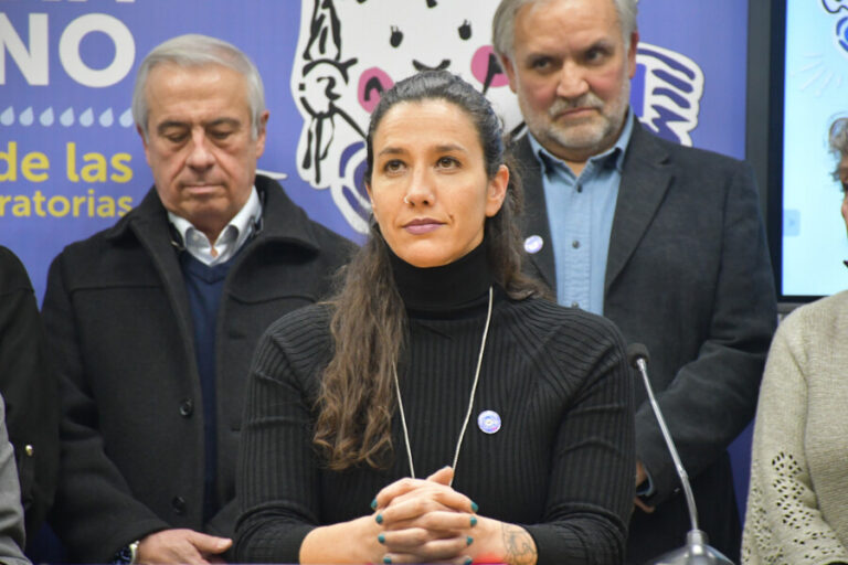 Subsecretaria de Salud Pública y crisis hospitalaria: 
