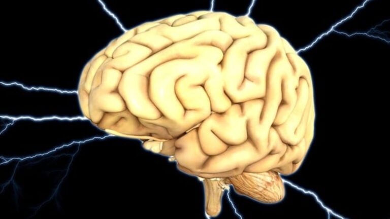Científicos descubren una proteína clave que desencadena enfermedad que desgasta las células del cerebro