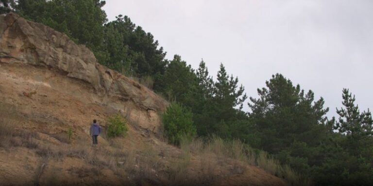 Geólogo de la U. de Concepción descubre nuevos fósiles de especies de tiburón prehistórico en cerros de Talcahuano