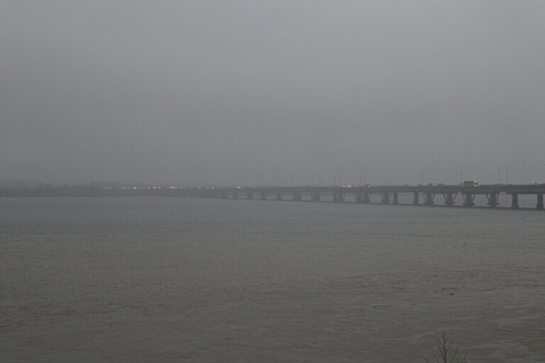 Reportan que embarcación volcó en río Biobío: Civiles rescataban a animales atrapados en un islote
