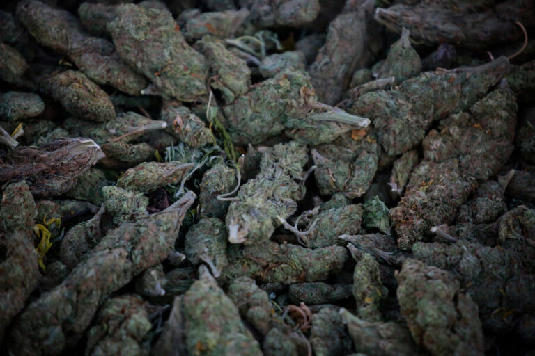 Exseremi del Trabajo acusado de tráfico de drogas asegura que solo 