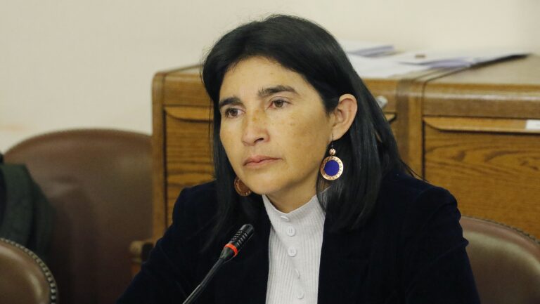 Diputada Ahumada calificó de 