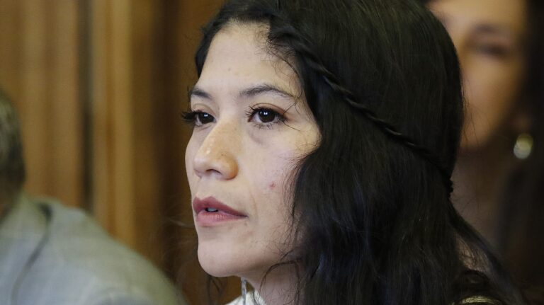 Diputada Ñanco afirmó que mantiene dichos sobre robo de computadores: 
