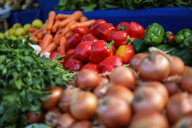 Perú estima que puede superar a Chile en exportaciones agrícolas en el año 2027