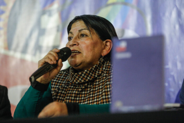 Hoy termina el polémico año sabático de Elisa Loncon: ¿Qué debe hacer ahora?