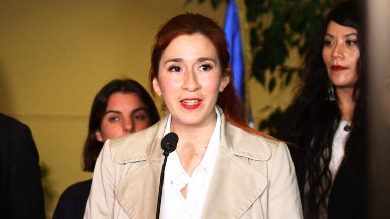 Catalina Pérez ingresó licencia médica y estará fuera del Congreso durante todo julio