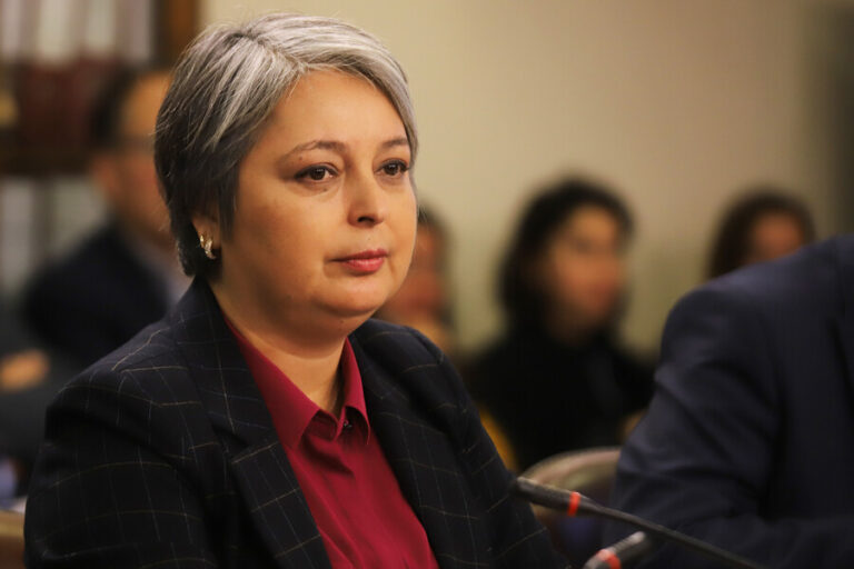 Ministra Jara asegura estar 