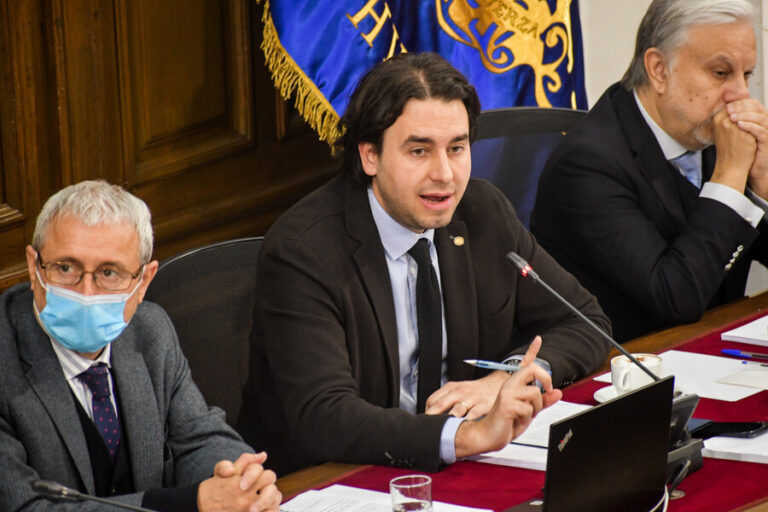 Presidente de la Cámara Vlado Mirosevic al Consejo Constitucional: 