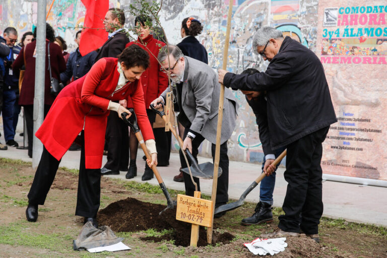 50 años del golpe de Estado: Gobierno inauguró proyecto “Árboles por la Memoria” en homenaje a las víctimas de la dictadura
