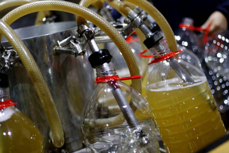 El infaltable del 18: SAG reconoce oficialmente al pipeño como una bebida alcohólica 