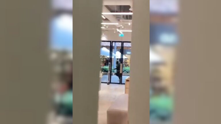 Delincuentes realizan violento asalto a tienda Mac Online en Portal la Dehesa: Habrían huido a bordo de dos vehículos