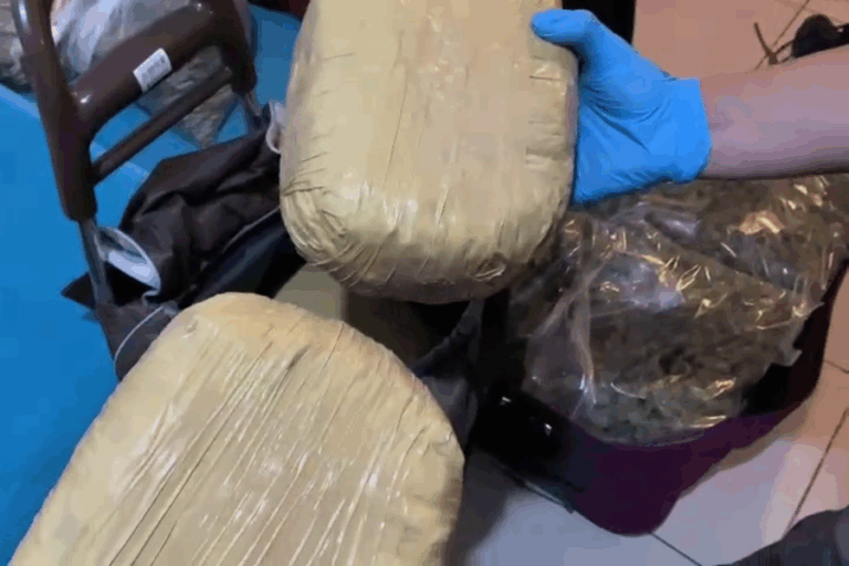 Incautación de droga termina con 8 detenidos en Estación Central: Confiscaron marihuana, ketamina y especies robadas
