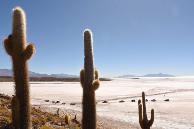Bolivia dice tener la “primera reserva mundial de litio”: 23 millones de toneladas