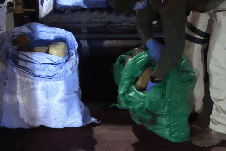 Desbaratan cinco organizaciones criminales que pretendían distribuir 335 kilos de droga en la RM y Biobío