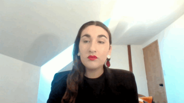 Diputada Schneider y AC contra ministro Ávila: 