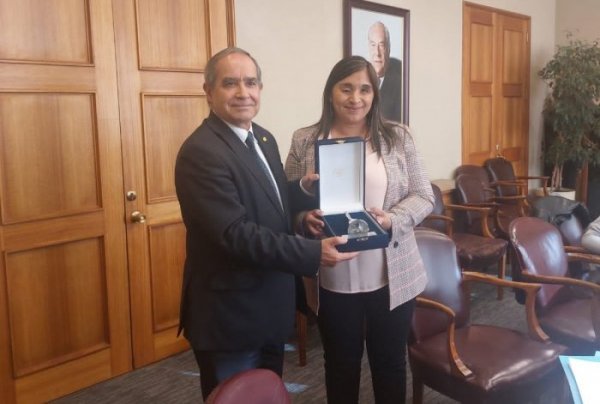 Senadora Campillai es elegida como presidenta de la Comisión de Ética y Transparencia de la Cámara Alta