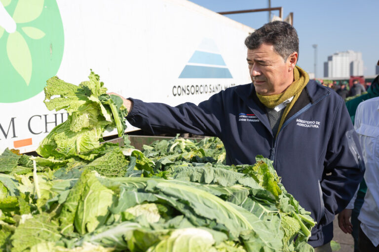 Tras sistema frontal: Ministro de Agricultura aseguró que alza en precios de algunos alimentos no debería perdurar