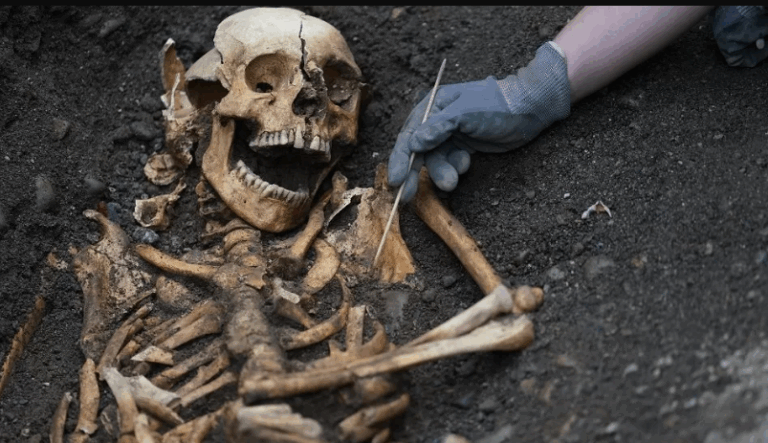 Hallazgos históricos en Dublín: Descubren 100 restos óseos de la Edad Media durante excavaciones para nuevo hotel