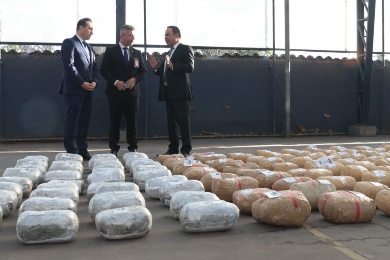 Desarticulan banda criminal vinculada a tráfico de drogas: Incautaron más de 400 kilos de marihuana y clorhidrato de cocaína
