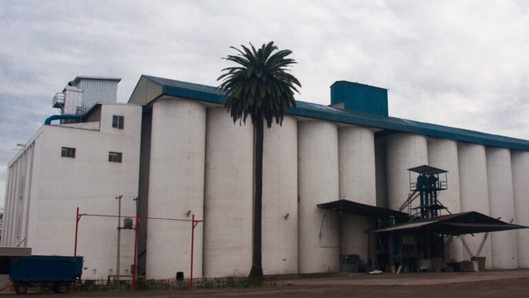 Trabajador de 76 años perdió la vida por asfixia en un silo de harina en una empresa de Buin
