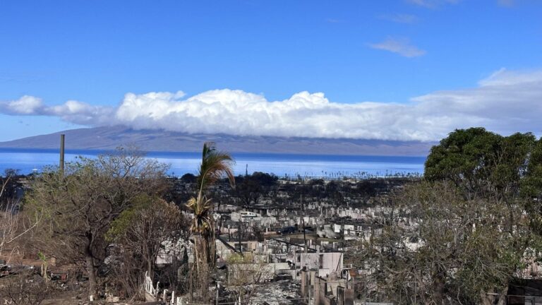 Gobierno de Maui presentó una demanda contra compañía eléctrica tras incendios forestales